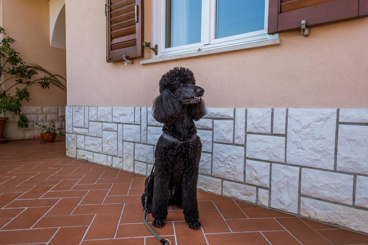 Rona Apartments Ani Ičići Esterno foto
